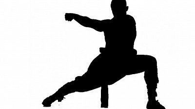 Sportovní kroužek s prvky bojového umění SHAOLIN