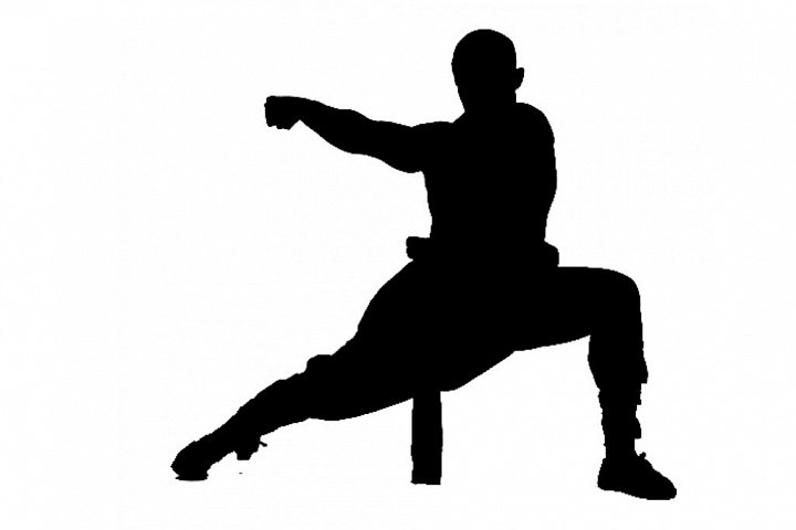 Sportovní kroužek s prvky bojového umění SHAOLIN