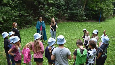 Barvy, barvy, barvičky